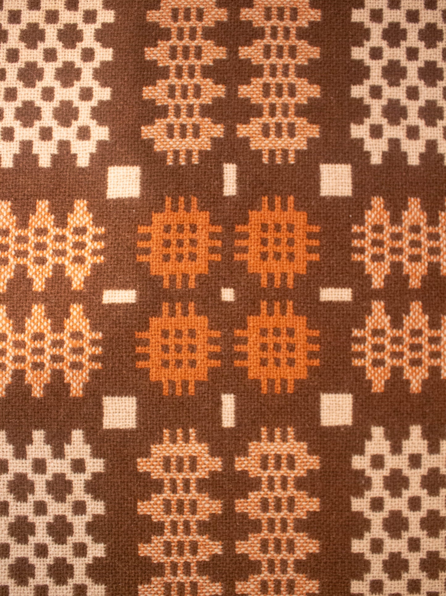 Welsh Tapestry Cushion Covers